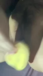 母狗自慰1